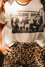Grand champion ringer cattle tee